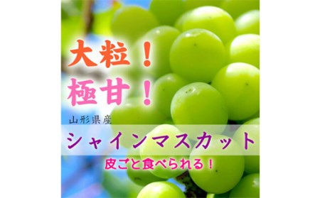 【2024年先行予約】山形県中山町産シャインマスカット 秀品 約1.2kg～約1.3kg(2房) 期間限定 数量限定 F4A-0103