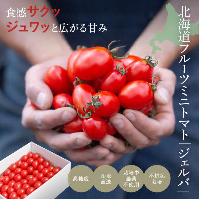 【2025年産予約開始！】金賞受賞　フルーツトマト ジェルバ 2.5kg