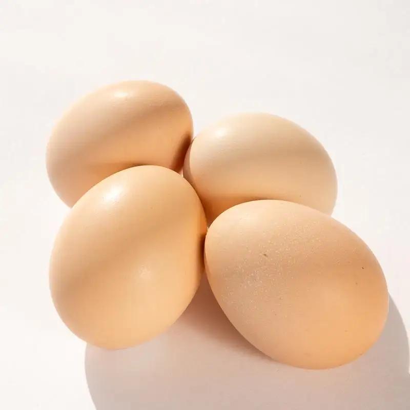 大分うこっけい卵　生食用12個（6個×2パック）＜お試しサイズ／使い切りにぴったり！＞ | 卵 烏骨鶏