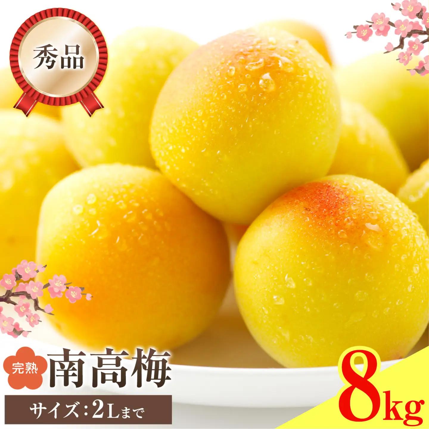 紀州南高梅 秀品(完熟) 2L 8kg 農業福祉研究機構《6月下旬-7月上旬頃出荷》