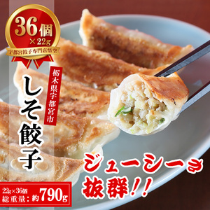 宇都宮餃子専門店 悟空 しそ餃子 22g×36個入｜餃子 冷凍 ぎょうざ ギョーザ 惣菜 国産野菜 国産豚肉 おかず 弁当 晩酌 おつまみ お取り寄せ グルメ 簡単調理 お手軽 時短 冷凍食品 栃木県 宇都宮市 ※離島への配送不可