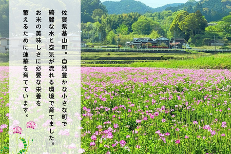 【令和7年産米】【3カ月定期便】ちぎり米 10kg(「さがびより」、「ヒノヒカリ」、「夢しずく」から1種類 選択不可) K091308
