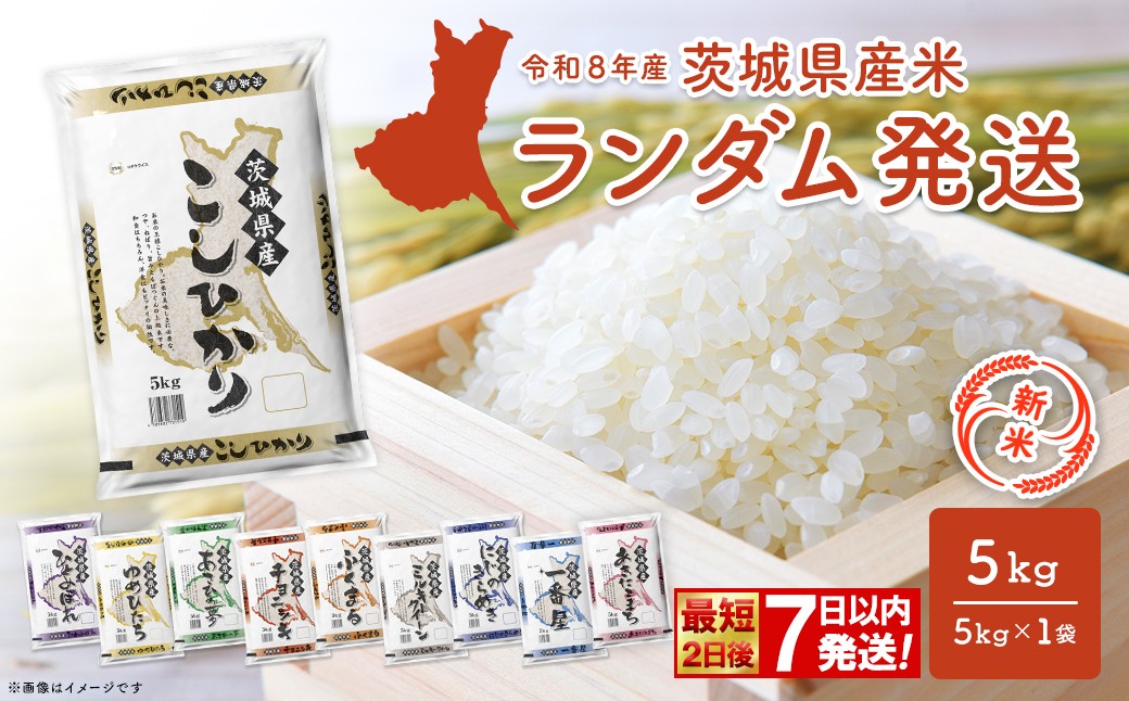 
                  ＜最短2日後発送＞ ※ランダム※ お米 5kg 茨城県産 白米 小分け 米 発送時期選べます コシヒカリ 5kg 米 お米 白米 精米 おこめ コメ ライス お米5kg ごはん ご飯 米5kg ブランド米 5kg袋 国産米 おすすめ 人気 お取り寄せ 銘柄米 ブランド 2026年産 令和8年産 K2464
                