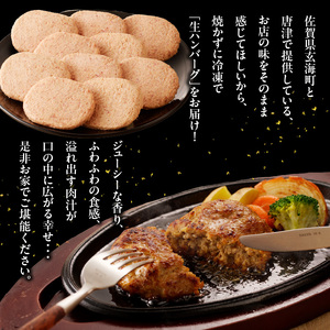 丸福 ハンバーグ 10個（9月配送）／ 佐賀牛 ハンバーグ 【A047-09】