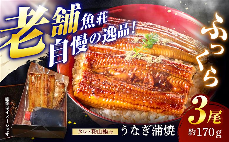 魚荘のうなぎ蒲焼き(3尾入り) / うなぎ ウナギ 鰻 蒲焼き 蒲焼 うなぎ蒲焼 国産 ひつまぶし うな重 うな丼 / 諫早市 / 有限会社魚荘 [AHCK003]