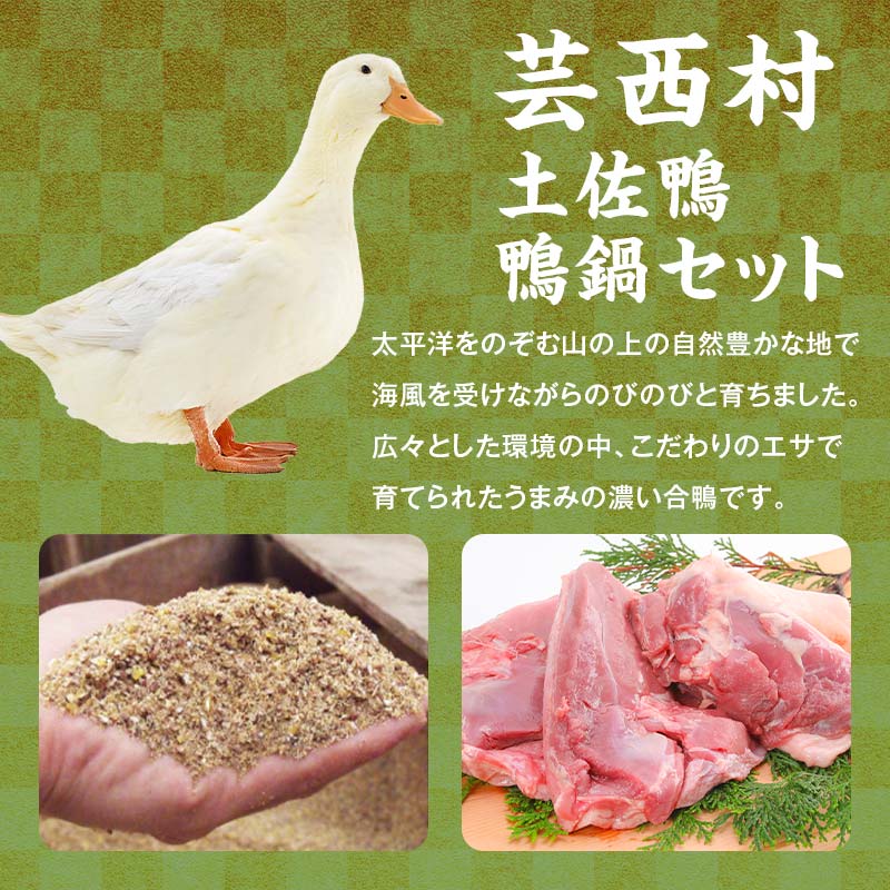 【セット定期便】【大川村と芸西村の共通返礼品】大川黒牛サーロインステーキA4以上（200g×2枚）＆土佐鴨鴨鍋セット 2～3人用 大川黒牛 サーロインステーキ 牛肉 鴨肉 ステーキ F6R-106