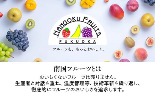【冬】あまおう 約500g いちご 苺 果物 フルーツ 冷蔵 送料無料 ※北海道・沖縄・離島は配送不可 大木町産 南国フルーツ CO001
