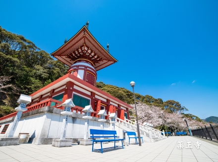 【四国霊場第23番札所・薬王寺にて御祈祷】厄除けのまち・美波町の天然塩「やくよけ塩」