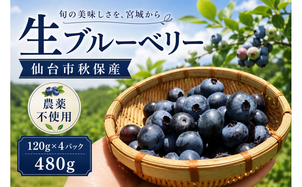 
                  仙台市秋保産ブルーベリー (120gパックｘ4個　合計480g
                