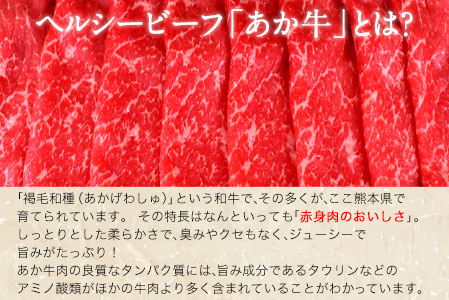 肥後のあか牛 すき焼き用 500g 長洲501 熊本 特産 あか牛《90日以内に出荷予定(土日祝除く)》