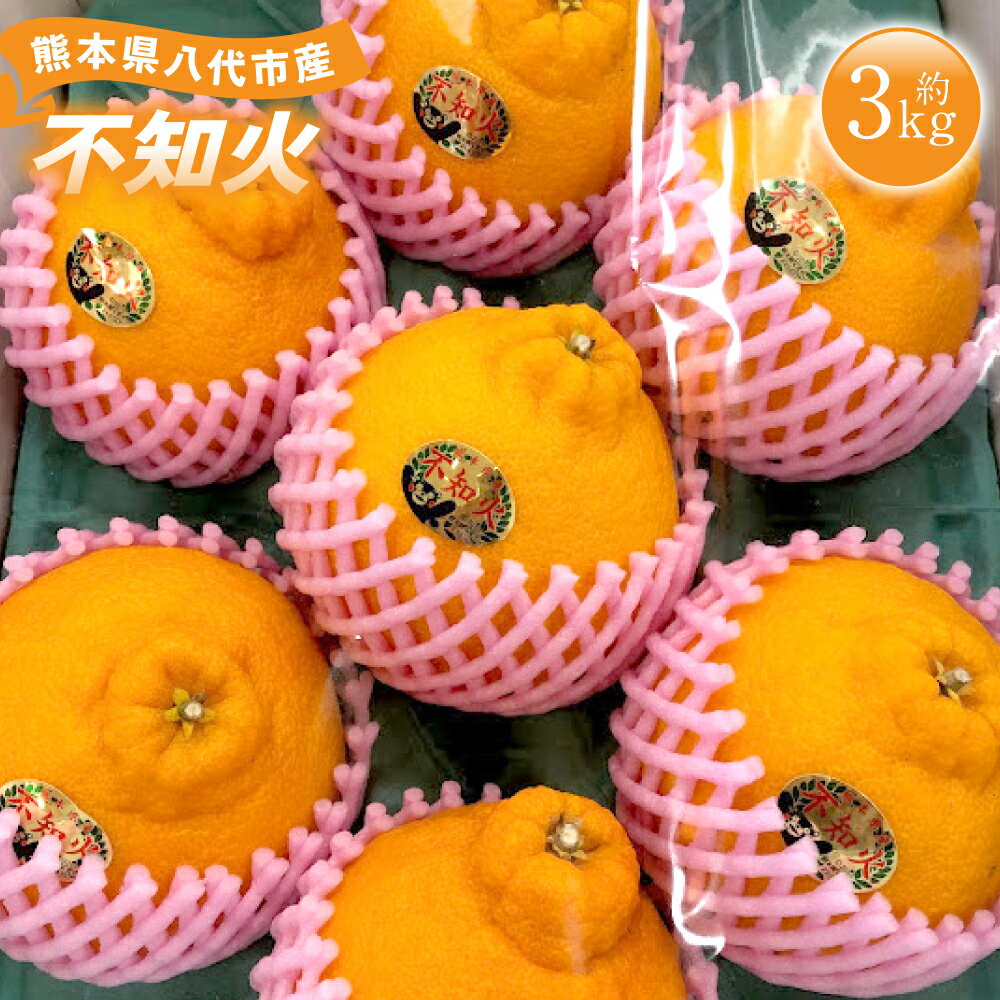 【ふるさと納税】 【先行予約】 熊本県 八代市産 不知火 （しらぬい） 約3kg 蜜柑 ミカン みかん ポンカン 果物 フルーツ 送料無料 【2026年1月中旬より順次発送】