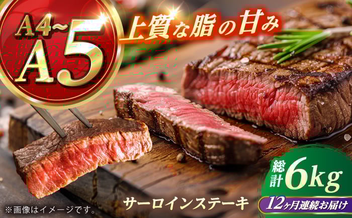 
            【全12回定期便】 長崎和牛 サーロイン ステーキ 250g×2 【KRAZY MEAT】 A5 A4 冷凍 和牛 肉 牛肉 BBQ [RCQ013]
          