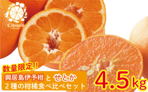 【先行予約・2025年2月上旬から発送】興居島伊予柑とせとか 2種の柑橘食べ比べセット 約4.5kg みかん 柑橘 みかん フルーツ みかん 食べ比べ ミカン みかん 蜜柑 愛媛県 松山市