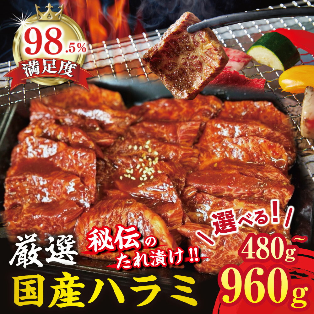 【ふるさと納税】希少　和牛入国産牛　ハラミ　選べる 480g / 960g(480g×2)　秘伝の自家製タレ漬け