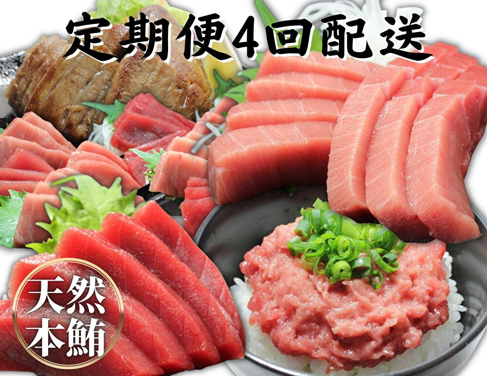 
            【定期便】天然本鮪詰合せ 4回配送　M007-T08
          