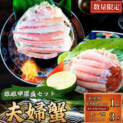 ふるさと納税 宮津市 夫婦蟹 甲羅盛セット 松葉蟹 ほぐし身(大)※活き蟹(1200g級)とコッペがに(中サイズ3個)