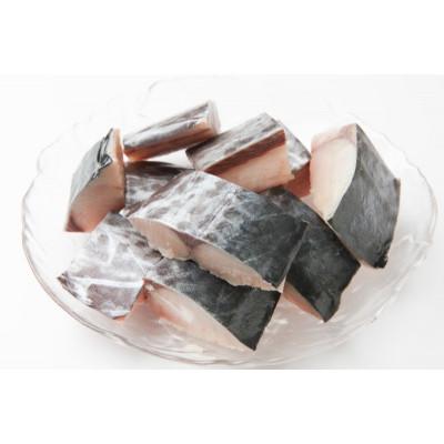 ふるさと納税 泉佐野市 【お弁当サイズ】さわら 切身 約50g×10切れ 小分け 500g 訳あり G3707