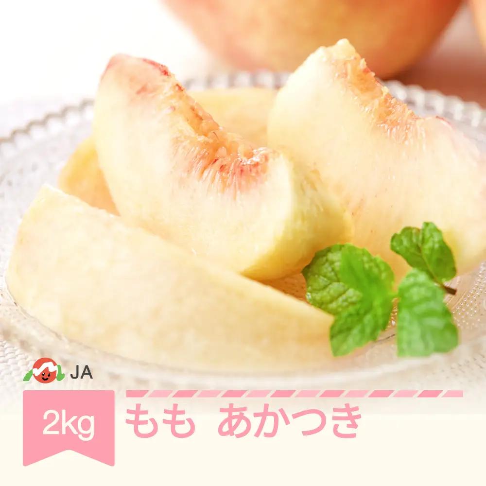 【先行予約】もも 桃 あかつき 約2kg 令和9年産 ja-moatx2 
