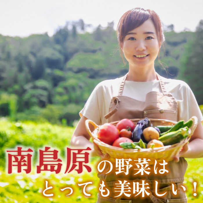 【産地直送】季節の野菜 詰め合わせ 15種類 セット【ふるさと企画】 SBA023_イメージ3