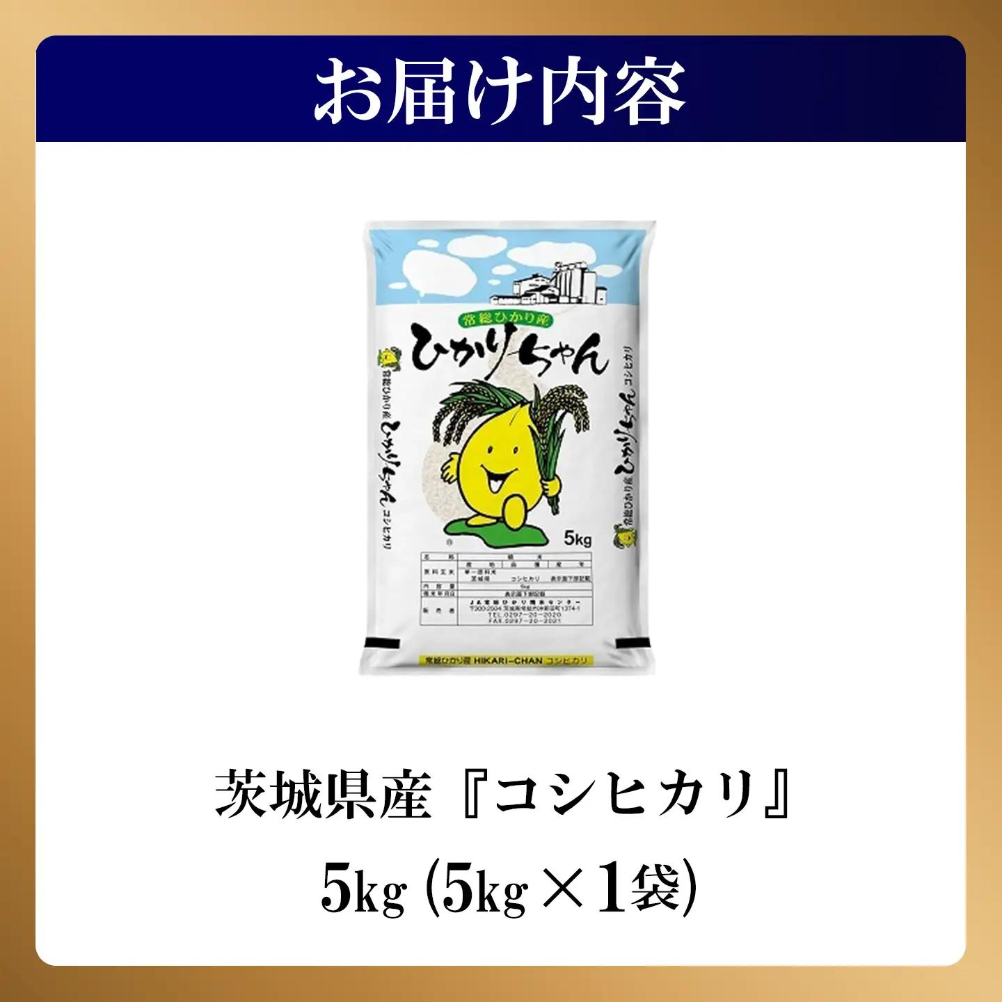 米 精米 R7年産 コシヒカリ 5kg 8月