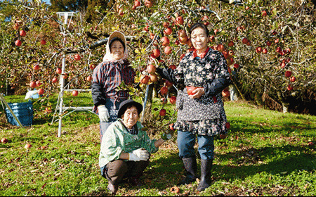 潮風りんごジュース1L×3本