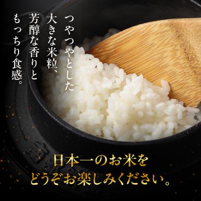 ふるさと納税 下呂市 (2026年12月発送)新米【2026年産】龍の瞳 2kg×1袋【14-1【12】】 |  | 01
