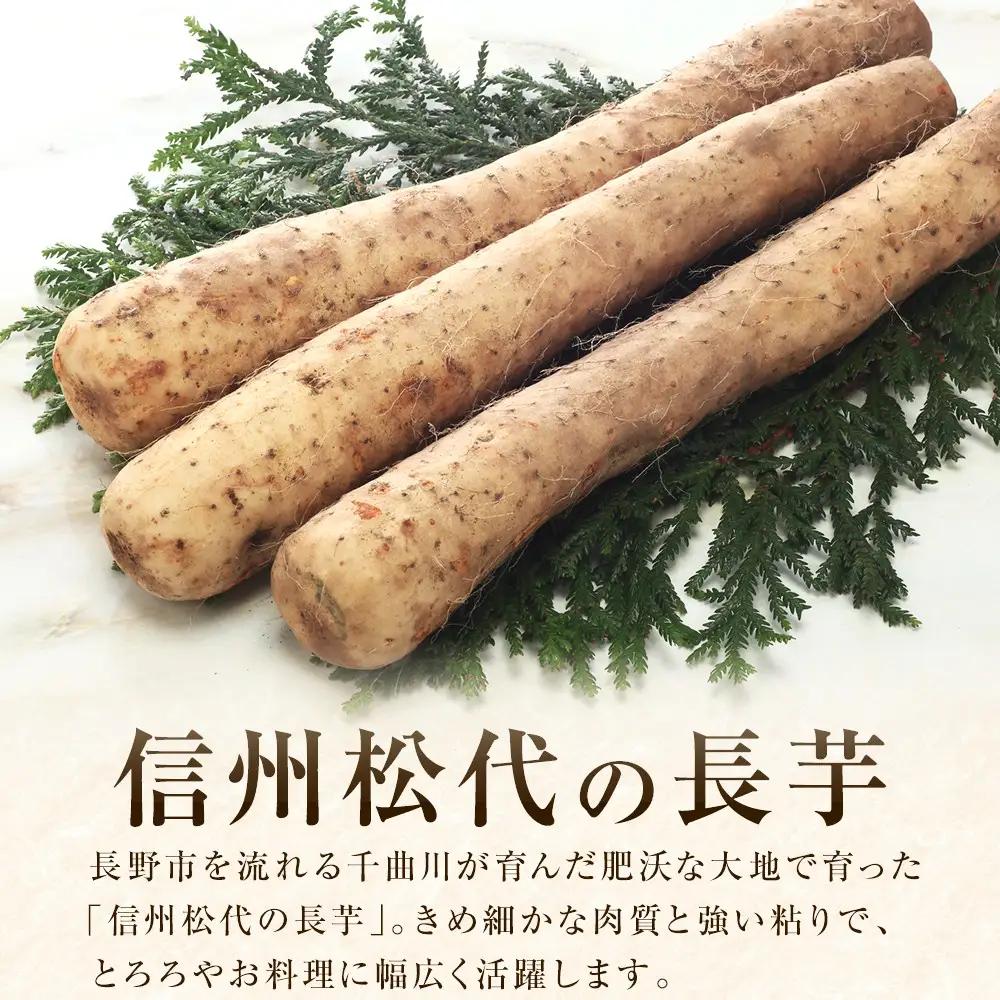信州の長芋【調理しやすい食べきりサイズ】5～8本入り | 長芋