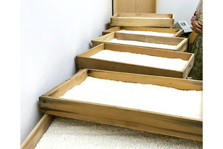 【無添加調味料】 大阪能勢の塩こうじ 3点セット (塩・にんにく・たまねぎ 各200g)