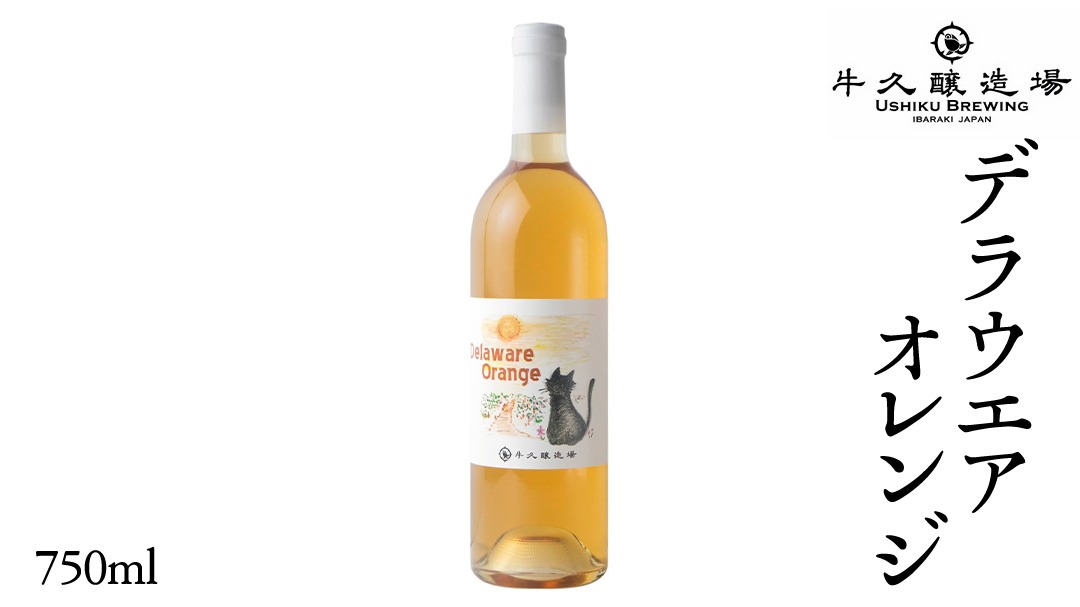 デラウエアオレンジ Delaware Orange 750ml×1 茨城県産 牛久醸造場 日本ワイン ワイン お酒 贈り物 上品 果実 クリスマス 誕生日 オレンジワイン 辛口 デラウェア ライトボディ