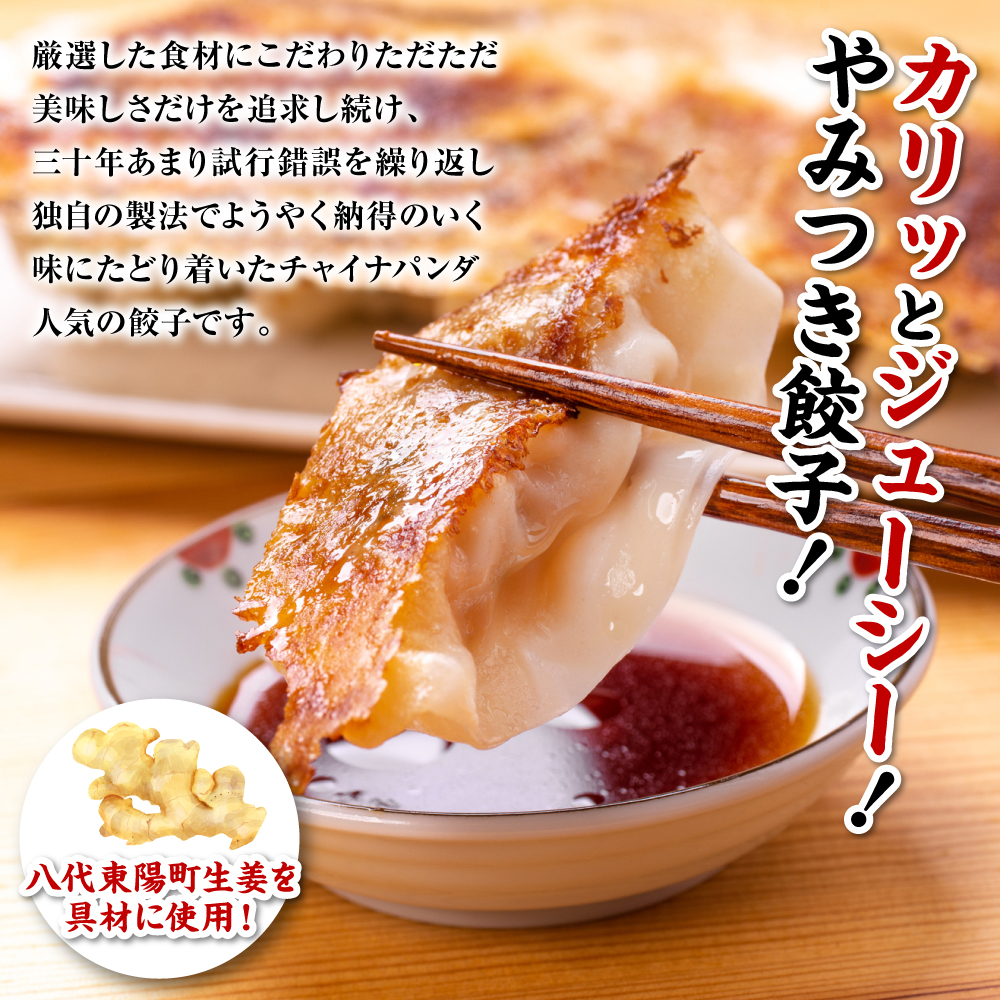 冷凍生餃子2パック(56個入)　たれ2本とラー油付