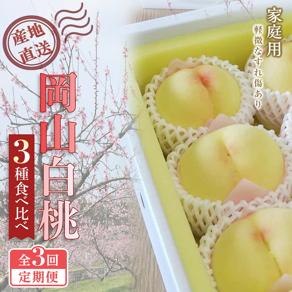 【ふるさと納税】【全3回定期便】2027年 ご家庭用　清水白桃　岡山白桃 食べ比べ定期便　もも モモ 岡山県 国産 フルーツ 果物