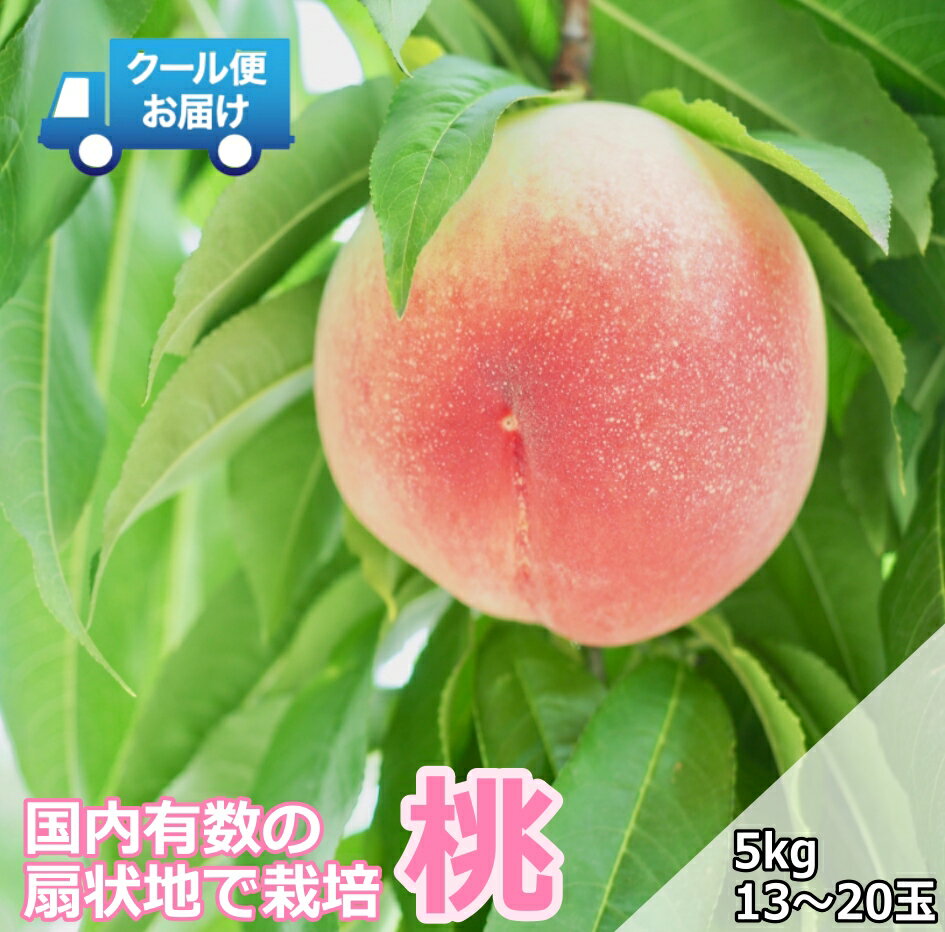 【ふるさと納税】 クール便　収穫当日に発送　桃　5kg　13～20玉 ふるさと納税 おすすめ 山梨県 南アルプス市 送料無料 ALPDG012
