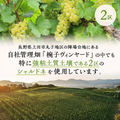 ふるさと納税 上田市 椀子シャルドネ ブロック2 750ml 3本 椀子限定品 [54041144] |  | 02