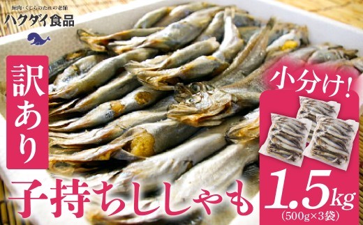 【訳あり】子持ちシシャモ 1.5kg（500g×3袋） mi0012-0116 ししゃも 訳あり 小分け メス 冷凍