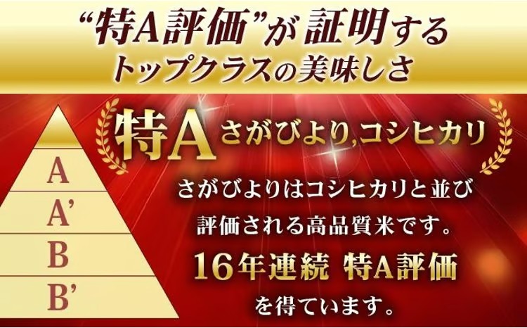 《最短(3～5営業日)発送》令和7年産 さがびより 佐賀県産（精米）10kg D-687-AS