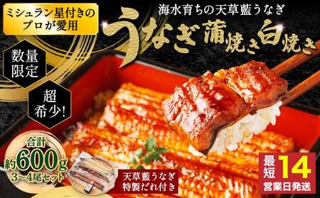 【ミシュラン1つ星店 採用】うなぎ 国産 紅白3-4尾セット600g 海水育ちの天草藍うなぎ