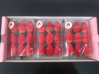 《2026年産先行予約》「西脇市産 旬のいちご３品種食べ比べセット」（1箱３パック）【佐藤果実工房 全国いちご選手権銀賞受賞農園 TVで紹介!】令和８年１月中旬配送分（09-38）