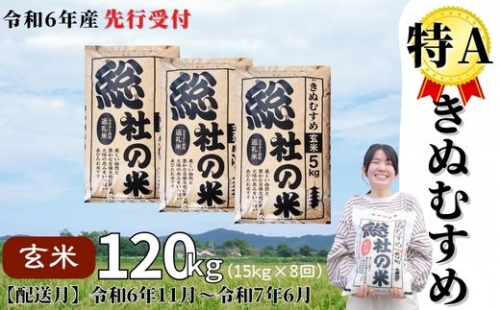 【令和6年産米】特Aきぬむすめ【玄米】120kg 定期便（15kg×8回）岡山県総社市産〔令和6年11月から令和7年6月まで毎月配送〕24-120-001