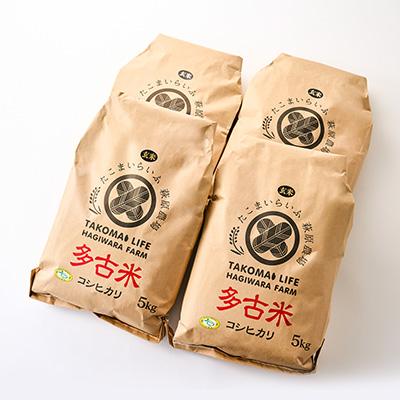 ふるさと納税 多古町 新米【令和7年産】たこまいらいふ萩原農場の多古米コシヒカリ(玄米)20kg |  | 03