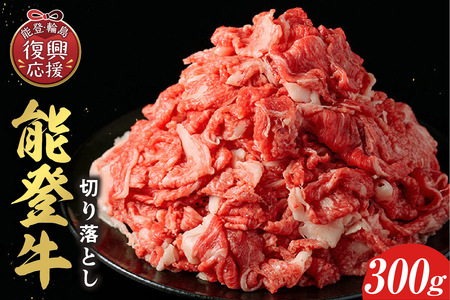 【和牛セレブ】能登牛 切り落とし 300g wa111-039
