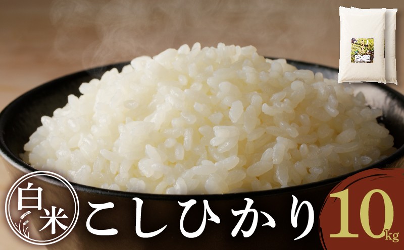 
                  先行予約≪都農町産≫新米コシヒカリ(計10kg) 米 お米 ご飯 国産_T031-0025
                