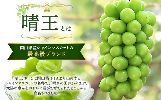 ※画像はイメージです。