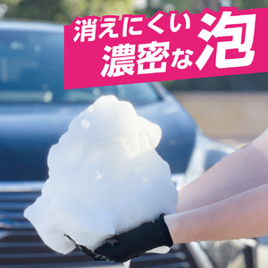 ジオセラミック シャンプー 晴香堂 HARUKADO カーオール 車用洗車用品