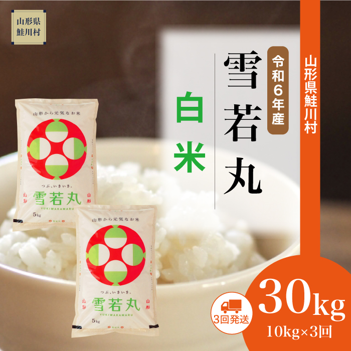 ＜令和6年産米 配送時期指定できます！＞　雪若丸【白米】30kg定期便 (10kg×3回)　鮭川村