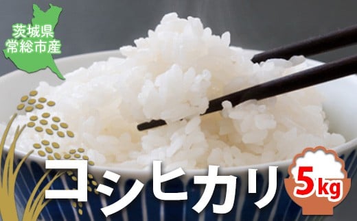 【5kg】【令和7年産】【精米】コシヒカリ5kg｜茨城県常総市産　精米 米　お米　白米　ご飯　コメ こめ　こしひかり