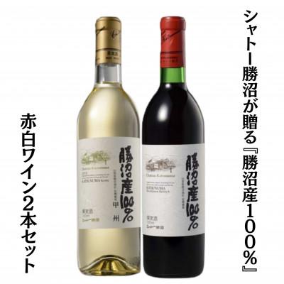 ふるさと納税 甲州市 シャトー勝沼が贈る『勝沼産100%』赤白ワイン2本セット　B18650