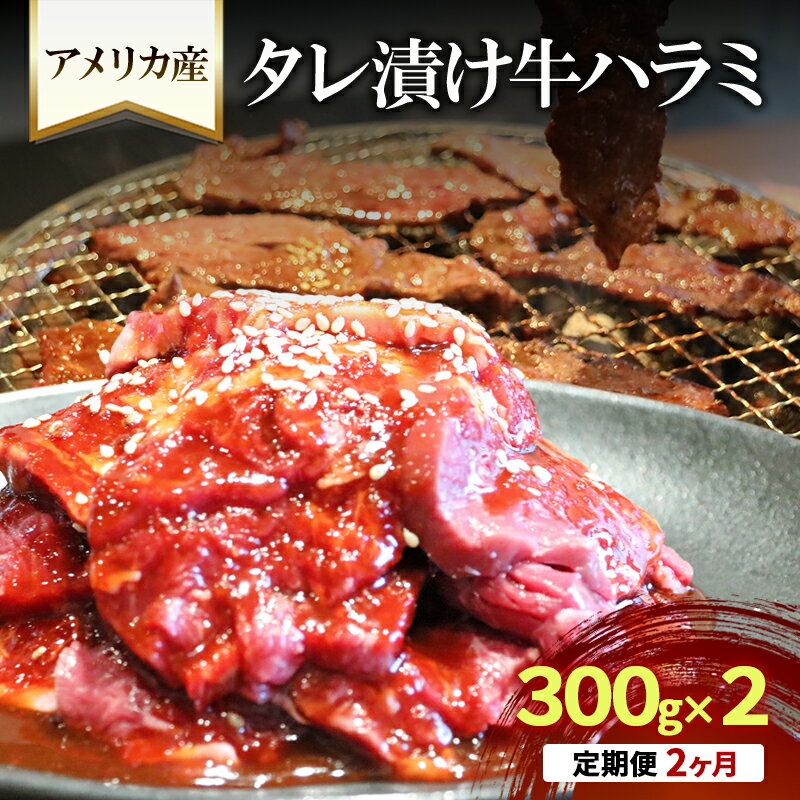 【ふるさと納税】【2か月定期便】アメリカ産タレ漬け牛ハラミ　300g×2 | 牛肉 焼肉 焼き肉 アウトドア BBQ　お届け：年末年始(12/29～1/4)の配送はいたしかねます。