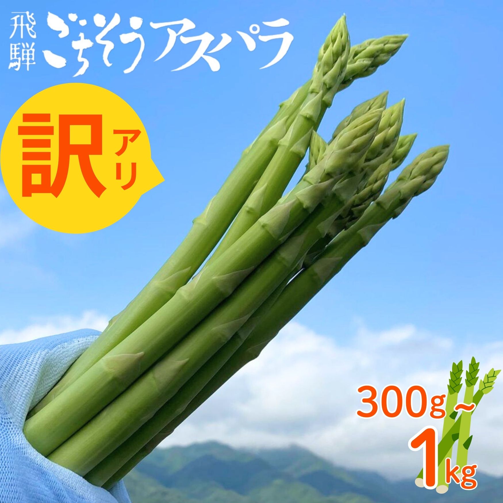 【ふるさと納税】《令和8年産 2026年先行予約受付中》訳あり 水村農園 飛騨のきれいな水と激しい寒暖差が育んだ柔らか甘いアスパラグリーン アスパラガス 2026年 配送 サラダ 天ぷら 新鮮 時間指定 わけあり 訳アリ [Q1957rex] 5000円 飛騨市