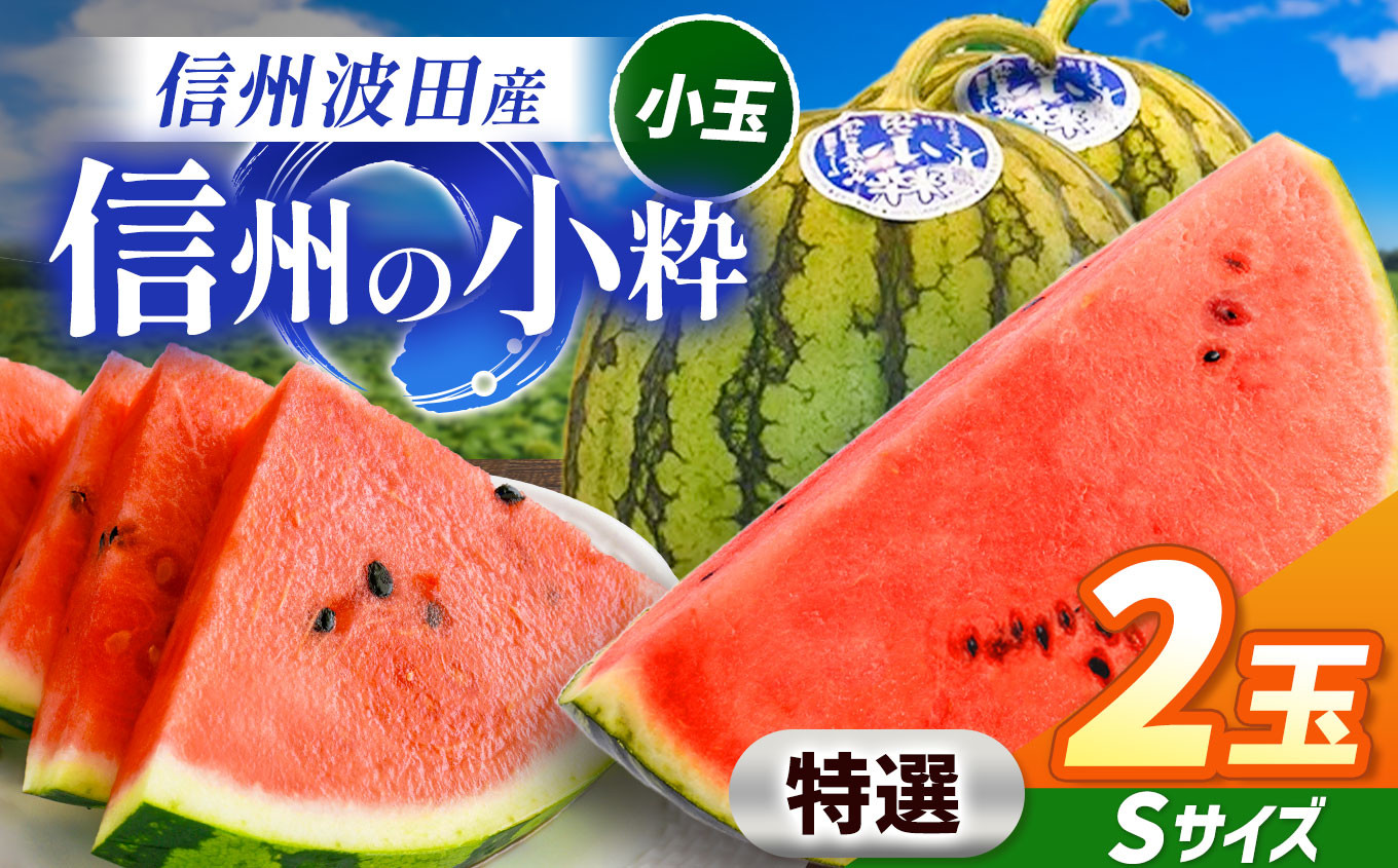 
            【先行受付：2026年7月発送】信州波田産 小玉スイカ！信州の小粋 【特選】 2玉 Sサイズ｜ふるさと納税 長野県 信州 松本 果物 フルーツ すいか スイカ 西瓜 贈答 季節限定 甘い くだもの ふるーつ
          