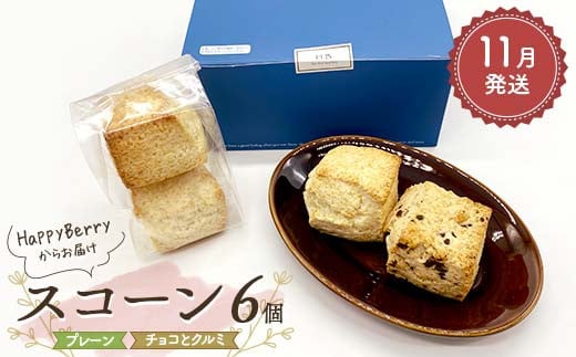 【2025年11月発送】人気店 HappyBerryのスコーン 6個（プレーン4個、チョコとクルミ2個） 焼菓子 スイーツ F6U-151